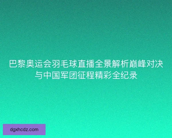 巴黎奥运会羽毛球直播全景解析巅峰对决与中国军团征程精彩全纪录