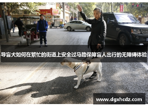 导盲犬如何在繁忙的街道上安全过马路保障盲人出行的无障碍体验